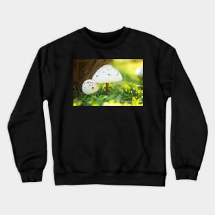 Innocent in looks only Crewneck Sweatshirt